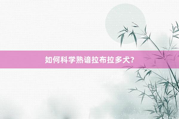 如何科学熟谙拉布拉多犬?