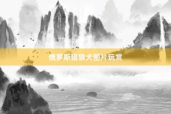 俄罗斯猎狼犬图片玩赏